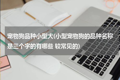 宠物狗品种小型犬(小型宠物狗的品种名称是三个字的有哪些 较常见的)