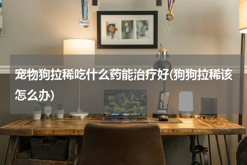 宠物狗拉稀吃什么药能治疗好(狗狗拉稀该怎么办)