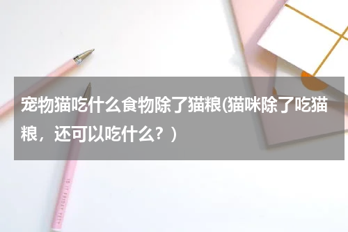 宠物猫吃什么食物除了猫粮(猫咪除了吃猫粮，还可以吃什么？)