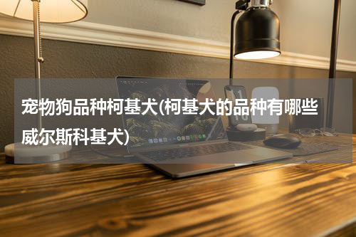 宠物狗品种柯基犬(柯基犬的品种有哪些 威尔斯科基犬)