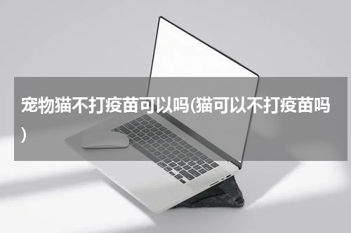 宠物猫不打疫苗可以吗(猫可以不打疫苗吗)
