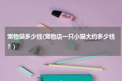 宠物猫多少钱(宠物店一只小猫大约多少钱?)