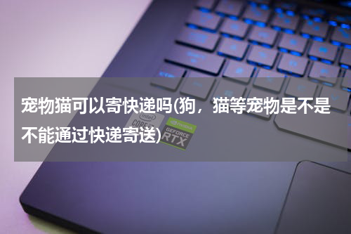 宠物猫可以寄快递吗(狗，猫等宠物是不是不能通过快递寄送)