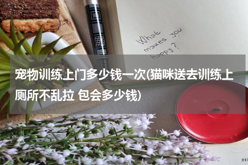 宠物训练上门多少钱一次(猫咪送去训练上厕所不乱拉 包会多少钱)