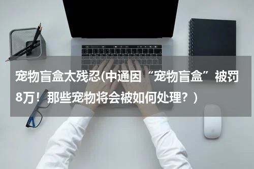 宠物盲盒太残忍(中通因“宠物盲盒”被罚8万!那些宠物将会被如何处理?)