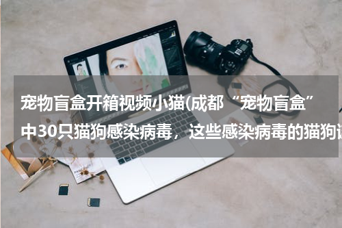 宠物盲盒开箱视频小猫(成都“宠物盲盒”中30只猫狗感染病毒,这些感染病毒的猫狗该何去何从?)