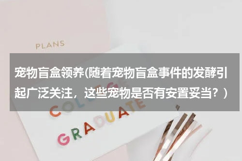 宠物盲盒领养(随着宠物盲盒事件的发酵引起广泛关注,这些宠物是否有安置妥当?)