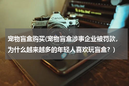 宠物盲盒购买(宠物盲盒涉事企业被罚款,为什么越来越多的年轻人喜欢玩盲盒?)