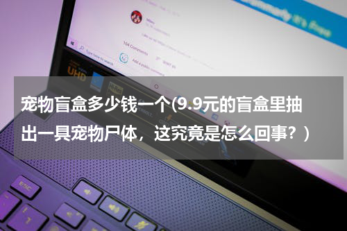 宠物盲盒多少钱一个(9.9元的盲盒里抽出一具宠物尸体,这究竟是怎么回事?)