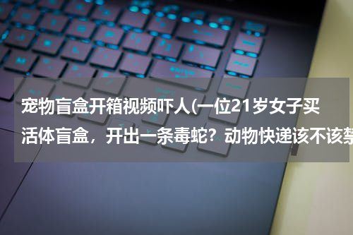 宠物盲盒开箱视频吓人(一位21岁女子买活体盲盒,开出一条毒蛇?动物快递该不该禁止?)
