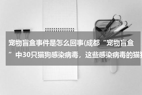 宠物盲盒事件是怎么回事(成都“宠物盲盒”中30只猫狗感染病毒,这些感染病毒的猫狗该何去何从?)
