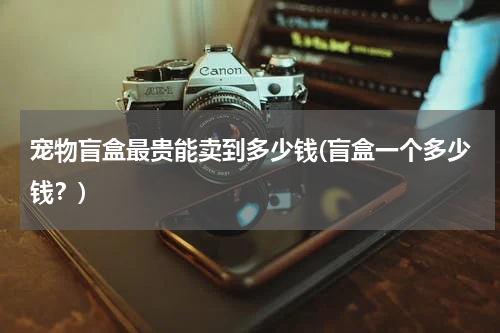 宠物盲盒最贵能卖到多少钱(盲盒一个多少钱?)