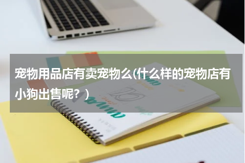 宠物用品店有卖宠物么(什么样的宠物店有小狗出售呢?)