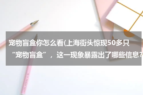 宠物盲盒你怎么看(上海街头惊现50多只“宠物盲盒”,这一现象暴露出了哪些信息?)