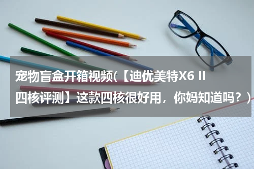 宠物盲盒开箱视频(【迪优美特X6 II四核评测】这款四核很好用,你妈知道吗?)