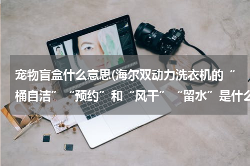 宠物盲盒什么意思(海尔双动力洗衣机的“桶自洁”“预约”和“风干”“留水”是什么意思怎样操作)