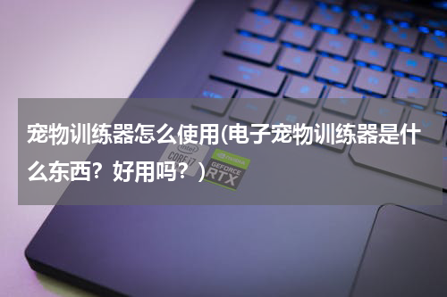 宠物训练器怎么使用(电子宠物训练器是什么东西？好用吗？)