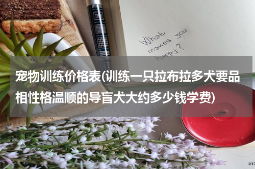 宠物训练价格表(训练一只拉布拉多犬要品相性格温顺的导盲犬大约多少钱学费)