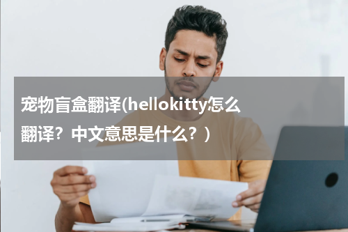 宠物盲盒翻译(hellokitty怎么翻译?中文意思是什么?)