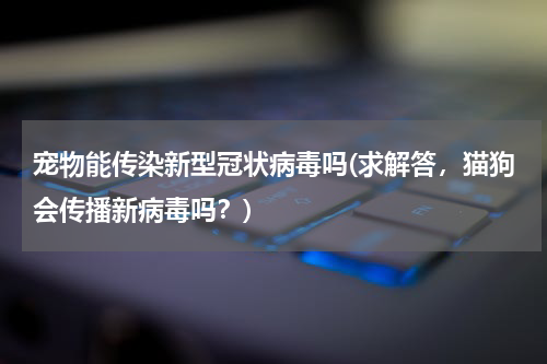 宠物能传染新型冠状病毒吗(求解答,猫狗会传播新病毒吗?)