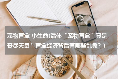 宠物盲盒 小生命(活体“宠物盲盒”真是丧尽天良!盲盒经济背后有哪些乱象?)