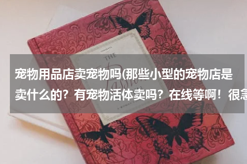 宠物用品店卖宠物吗(那些小型的宠物店是卖什么的?有宠物活体卖吗?在线等啊!很急啊!)