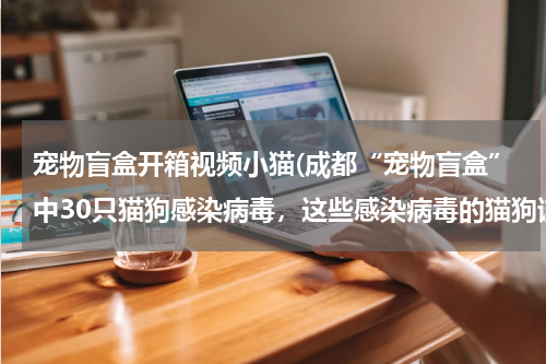 宠物盲盒开箱视频小猫(成都“宠物盲盒”中30只猫狗感染病毒,这些感染病毒的猫狗该何去何从?)