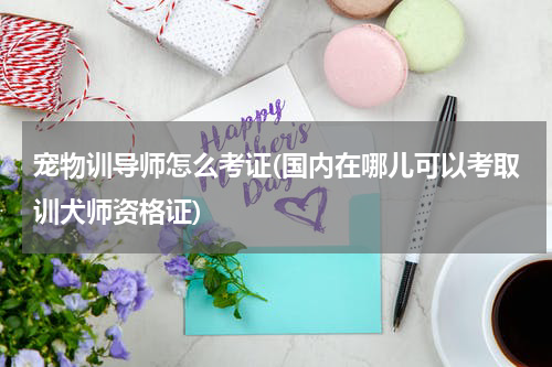 宠物训导师怎么考证(国内在哪儿可以考取训犬师资格证)