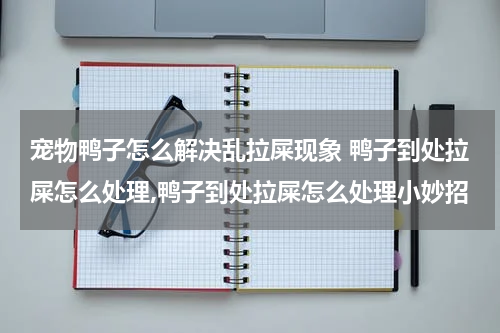 宠物鸭子怎么解决乱拉屎现象 鸭子到处拉屎怎么处理,鸭子到处拉屎怎么处理小妙招