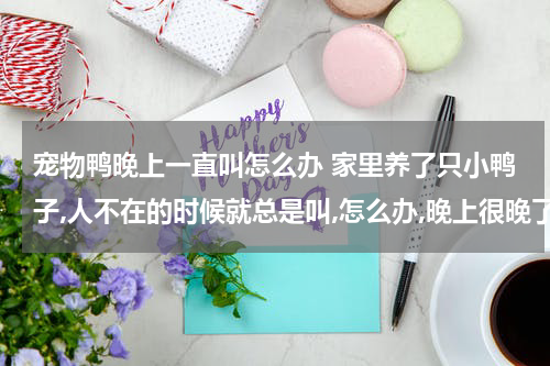 宠物鸭晚上一直叫怎么办 家里养了只小鸭子,人不在的时候就总是叫,怎么办,晚上很晚了要睡觉了它也还在叫,而且很大声,我怕扰民,