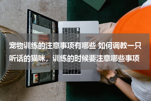 宠物训练的注意事项有哪些 如何调教一只听话的猫咪，训练的时候要注意哪些事项