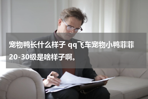宠物鸭长什么样子 qq飞车宠物小鸭菲菲20-30级是啥样子啊。