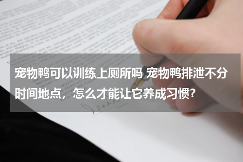 宠物鸭可以训练上厕所吗 宠物鸭排泄不分时间地点，怎么才能让它养成习惯？