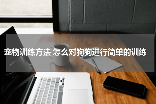 宠物训练方法 怎么对狗狗进行简单的训练