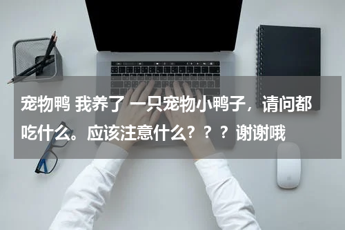 宠物鸭 我养了 一只宠物小鸭子，请问都吃什么。应该注意什么？？？谢谢哦