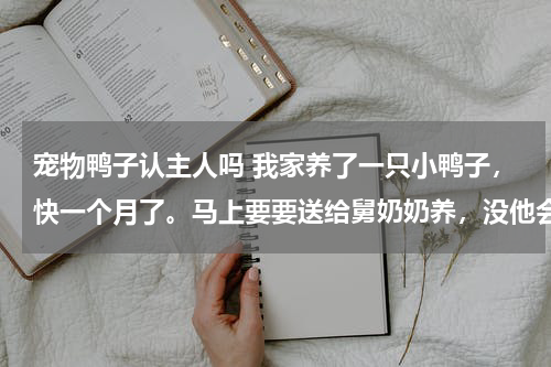宠物鸭子认主人吗 我家养了一只小鸭子，快一个月了。马上要要送给舅奶奶养，没他会不会忘记我。我也会每个星期看一次的。