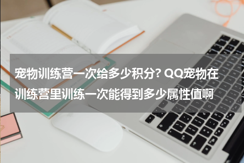 宠物训练营一次给多少积分? QQ宠物在训练营里训练一次能得到多少属性值啊