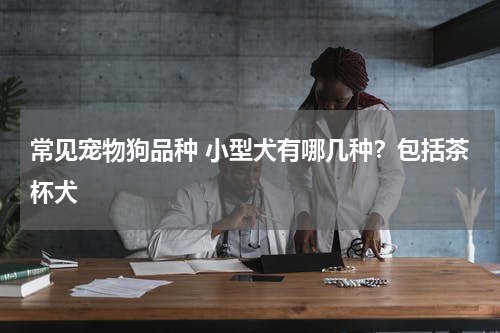 常见宠物狗品种 小型犬有哪几种？包括茶杯犬