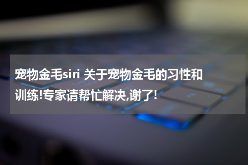 宠物金毛siri 关于宠物金毛的习性和训练!专家请帮忙解决,谢了!