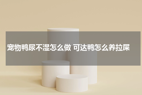 宠物鸭尿不湿怎么做 可达鸭怎么养拉屎