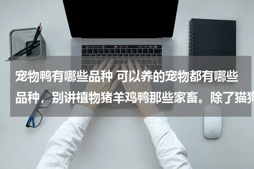 宠物鸭有哪些品种 可以养的宠物都有哪些品种，别讲植物猪羊鸡鸭那些家畜。除了猫狗老鼠兔子和海洋生物和昆虫。化简一下就是