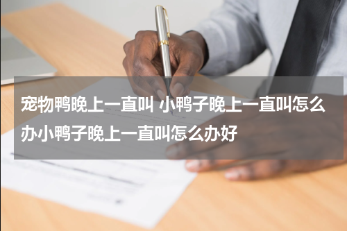 宠物鸭晚上一直叫 小鸭子晚上一直叫怎么办小鸭子晚上一直叫怎么办好