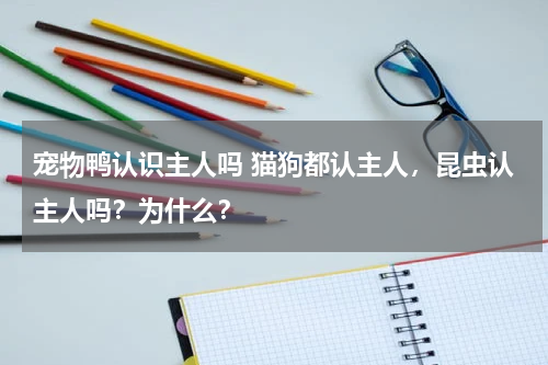 宠物鸭认识主人吗 猫狗都认主人，昆虫认主人吗？为什么？
