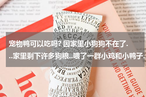 宠物鸭可以吃吗? 因家里小狗狗不在了...家里剩下许多狗粮..喂了一群小鸡和小鸭子..它们能吃吗？