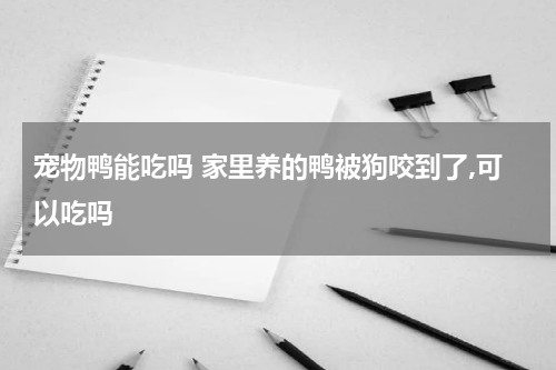 宠物鸭能吃吗 家里养的鸭被狗咬到了,可以吃吗
