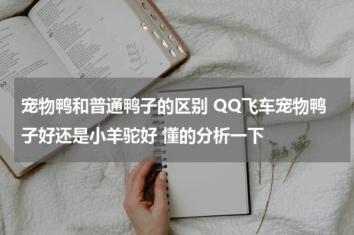 宠物鸭和普通鸭子的区别 QQ飞车宠物鸭子好还是小羊驼好 懂的分析一下