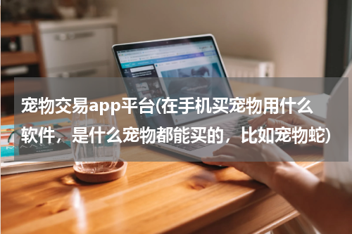 宠物交易app平台(在手机买宠物用什么软件,是什么宠物都能买的,比如宠物蛇)