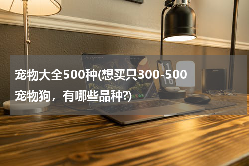 宠物大全500种(想买只300-500宠物狗,有哪些品种?)