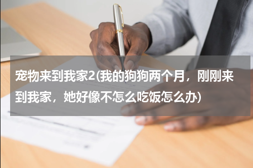 宠物来到我家2(我的狗狗两个月,刚刚来到我家,她好像不怎么吃饭怎么办)