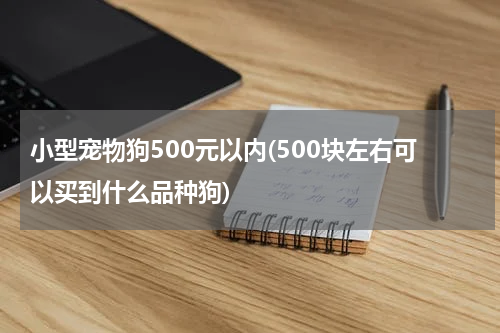 小型宠物狗500元以内(500块左右可以买到什么品种狗)